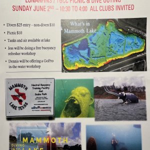 Lunarfins TGCC Dive Picnic