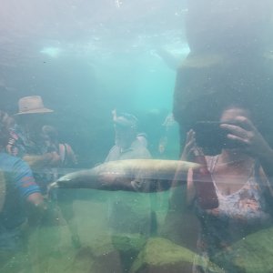 20240629_123617.jpg