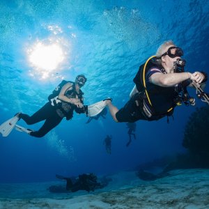 18 - Watermonkey, Reefhound (and McLot)