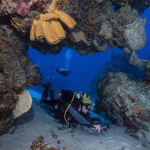 21 - McLot on Cozumel reef
