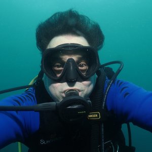 Common barfly, aquatic phase