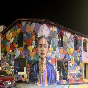 PV mural