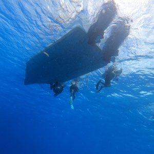 1 - Robertas small dive boats