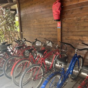 Bicycles at Le Bounty pension