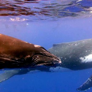 Mama and baby 3