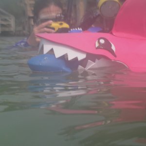 Roatan 2005 reupload