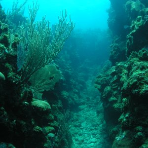 Roatan 2005 reupload