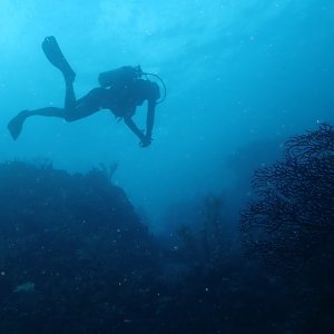 Into the blue