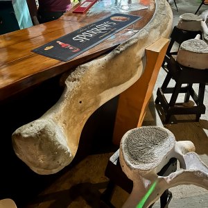 The Whaleboner