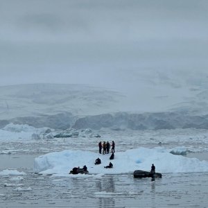 Divers on Ice, Antarctica.