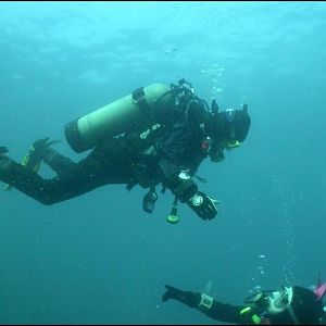 Batfish @ Blue Car Wreck