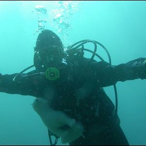 Batfish Gets Wet