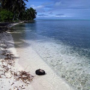 Half Moon Caye