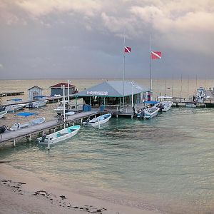 the dive shop