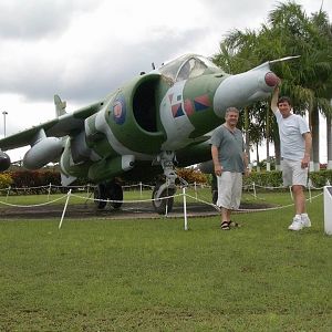 Harrier