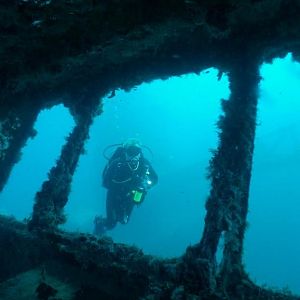 Reefhound