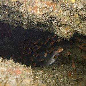 CRW_7348