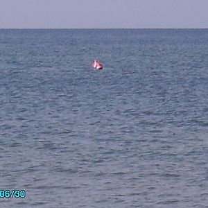 Floribama
