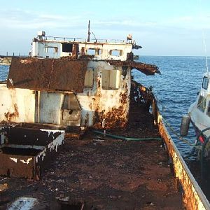 Shrimp Boat