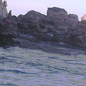 PICT0156A