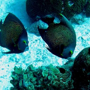 Bonaire 2