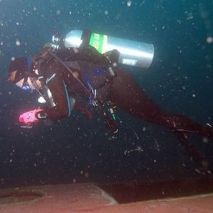 Divediva