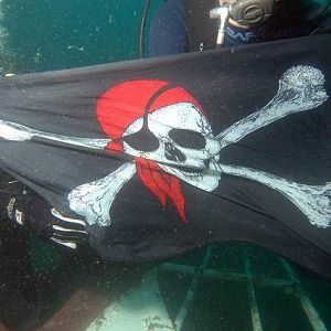 CHUM Flies the Flag