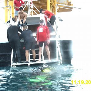 Diveing at the rig