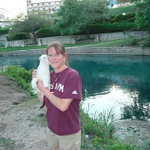 SharkSnak_and_Wet