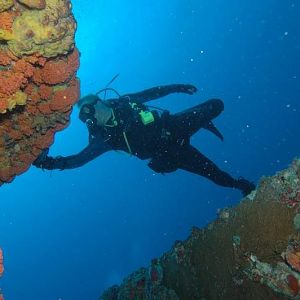 Reef Leap