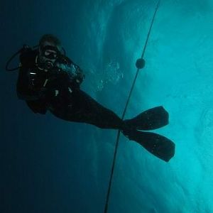 Reefy Pole Dancing