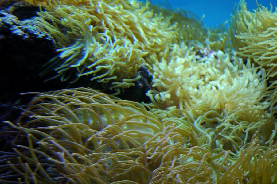 015_023