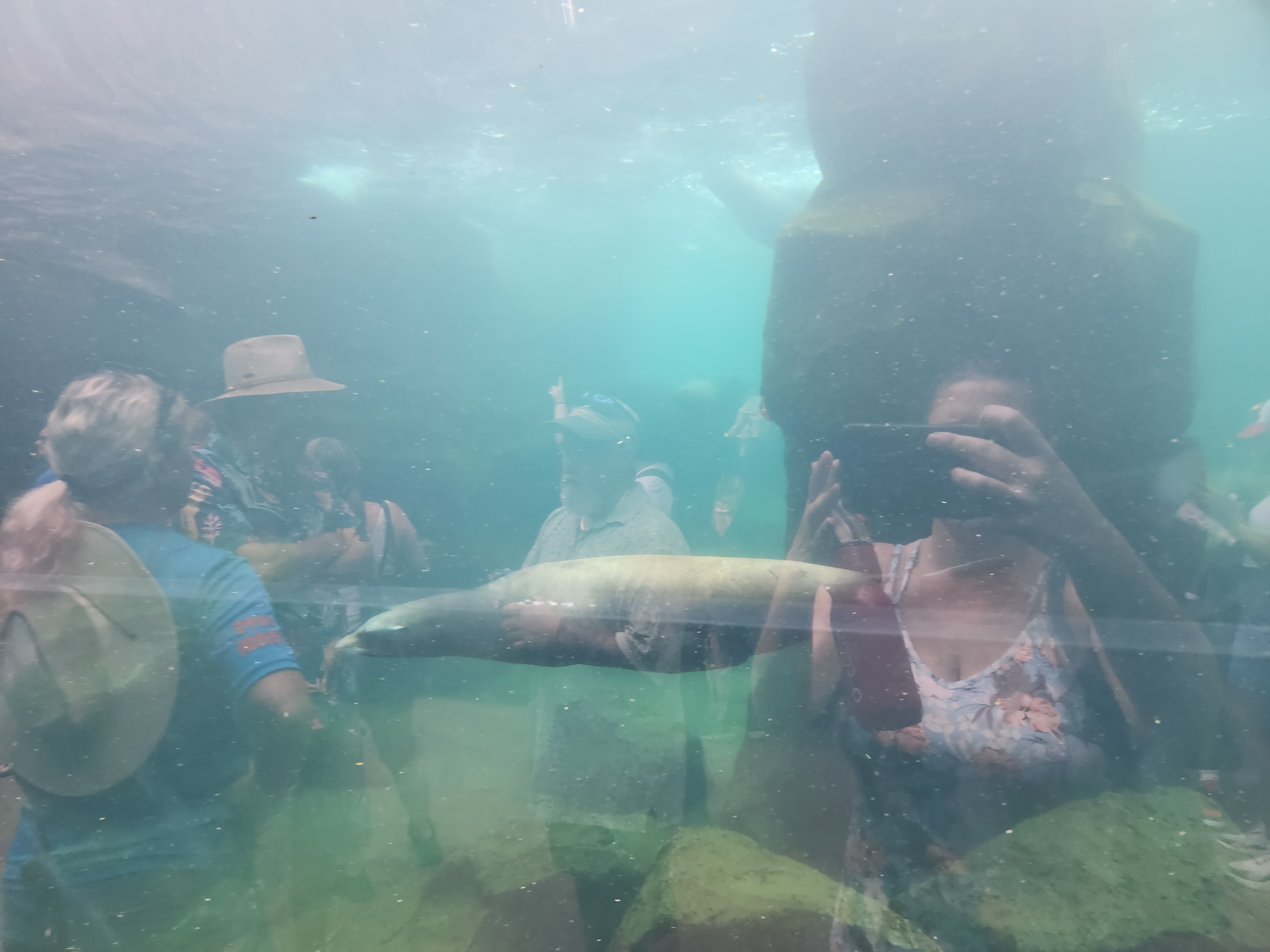 20240629_123617.jpg