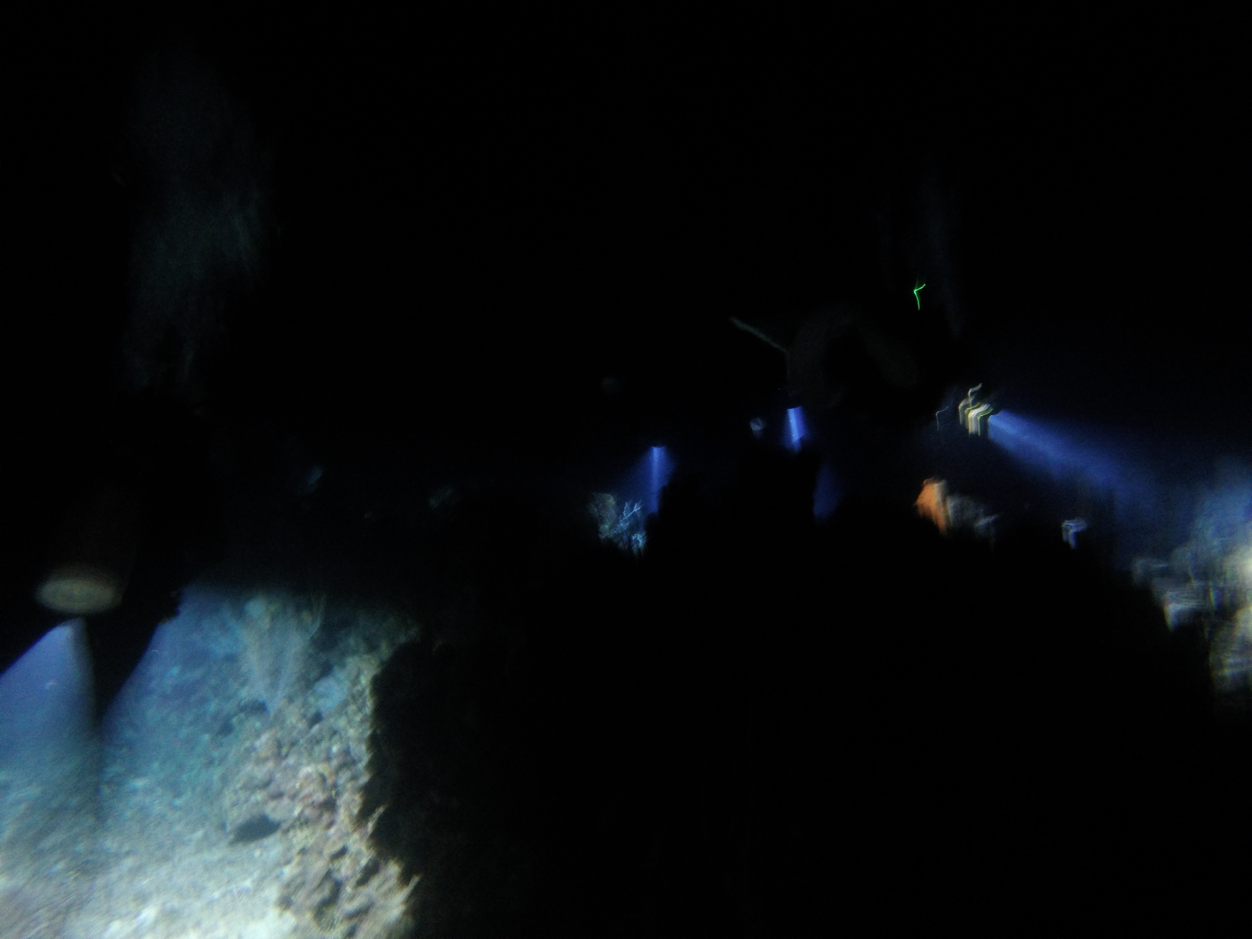 24 - Night Dive