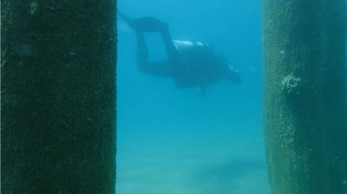24% With The Pilings 07 - June Elk Rapids, MI