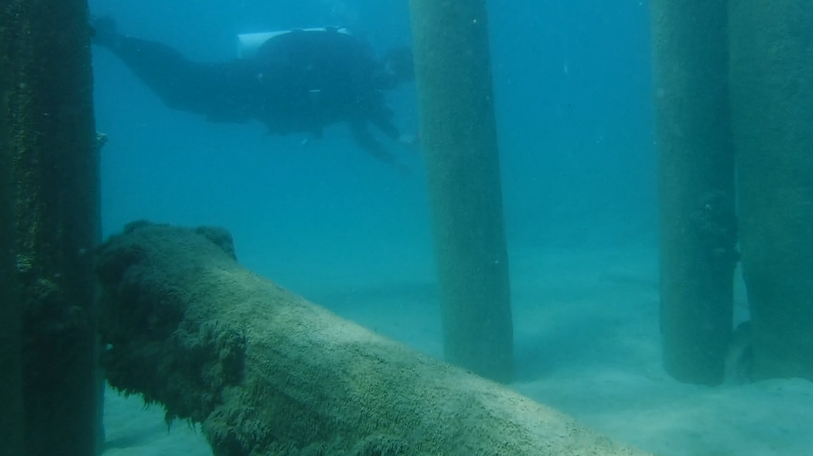 24% With The Pilings 08 - June Elk Rapids, MI