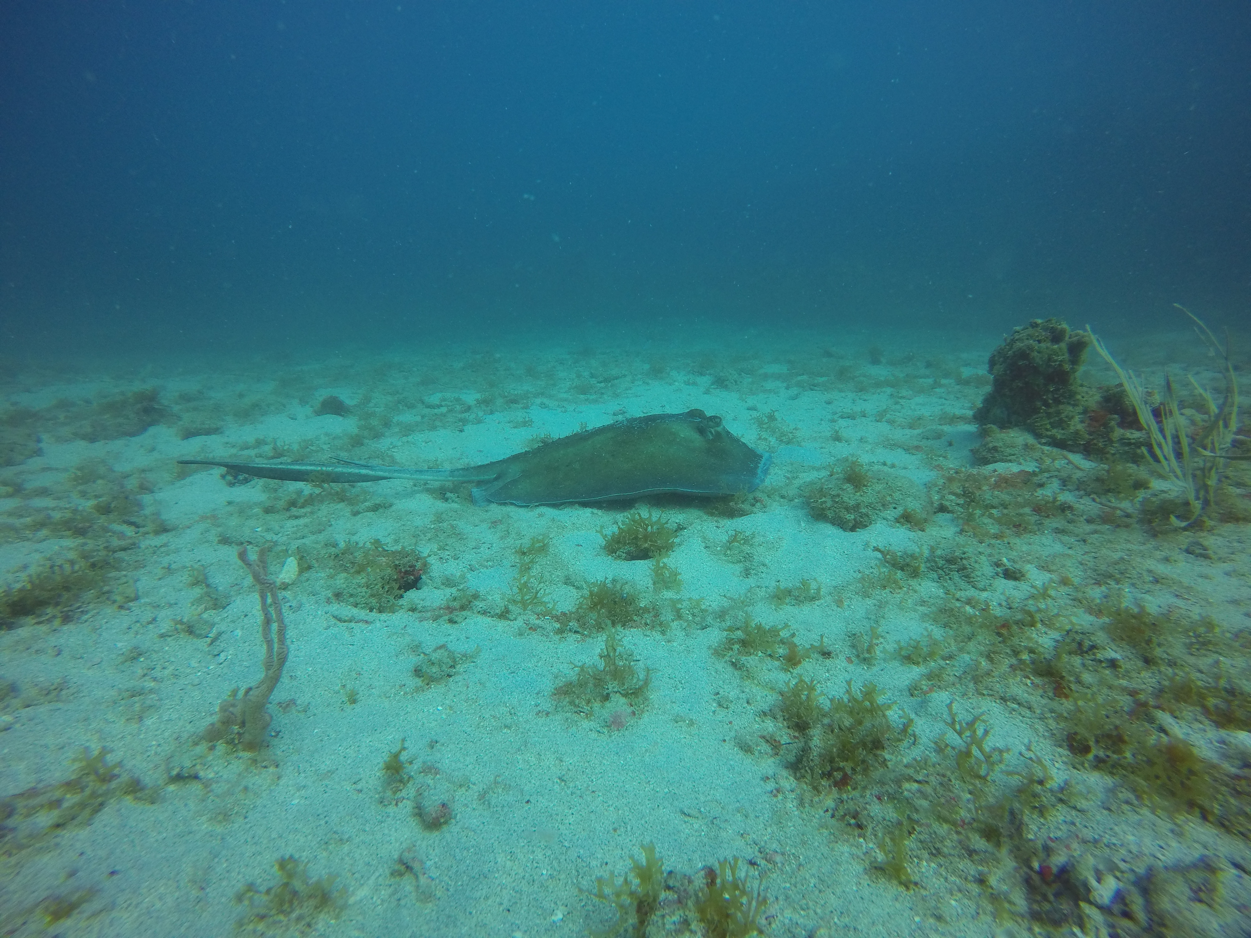 26 - Ray beside Navy Barges wrecks.JPG
