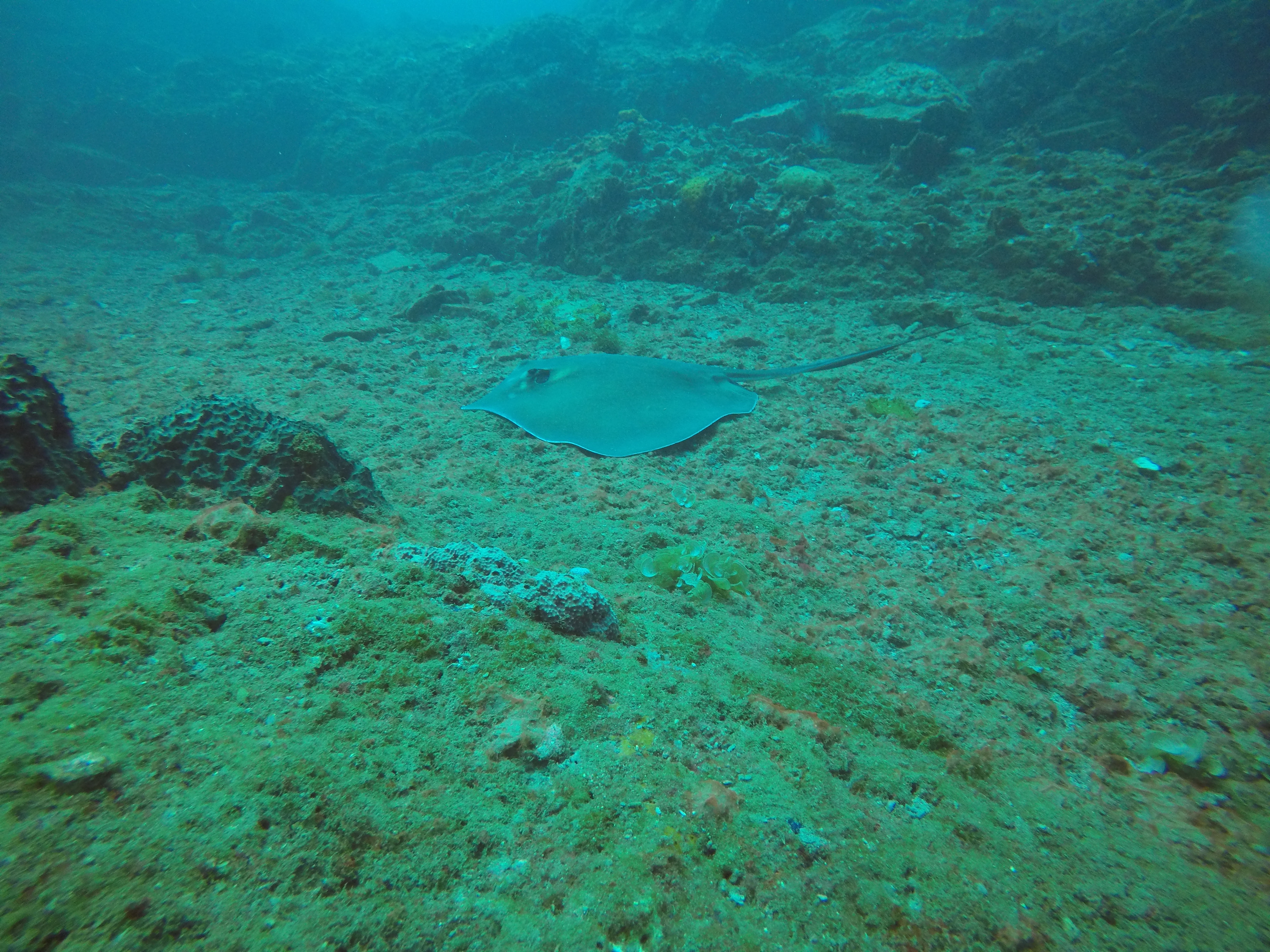 26 - Ray on Stetson.JPG