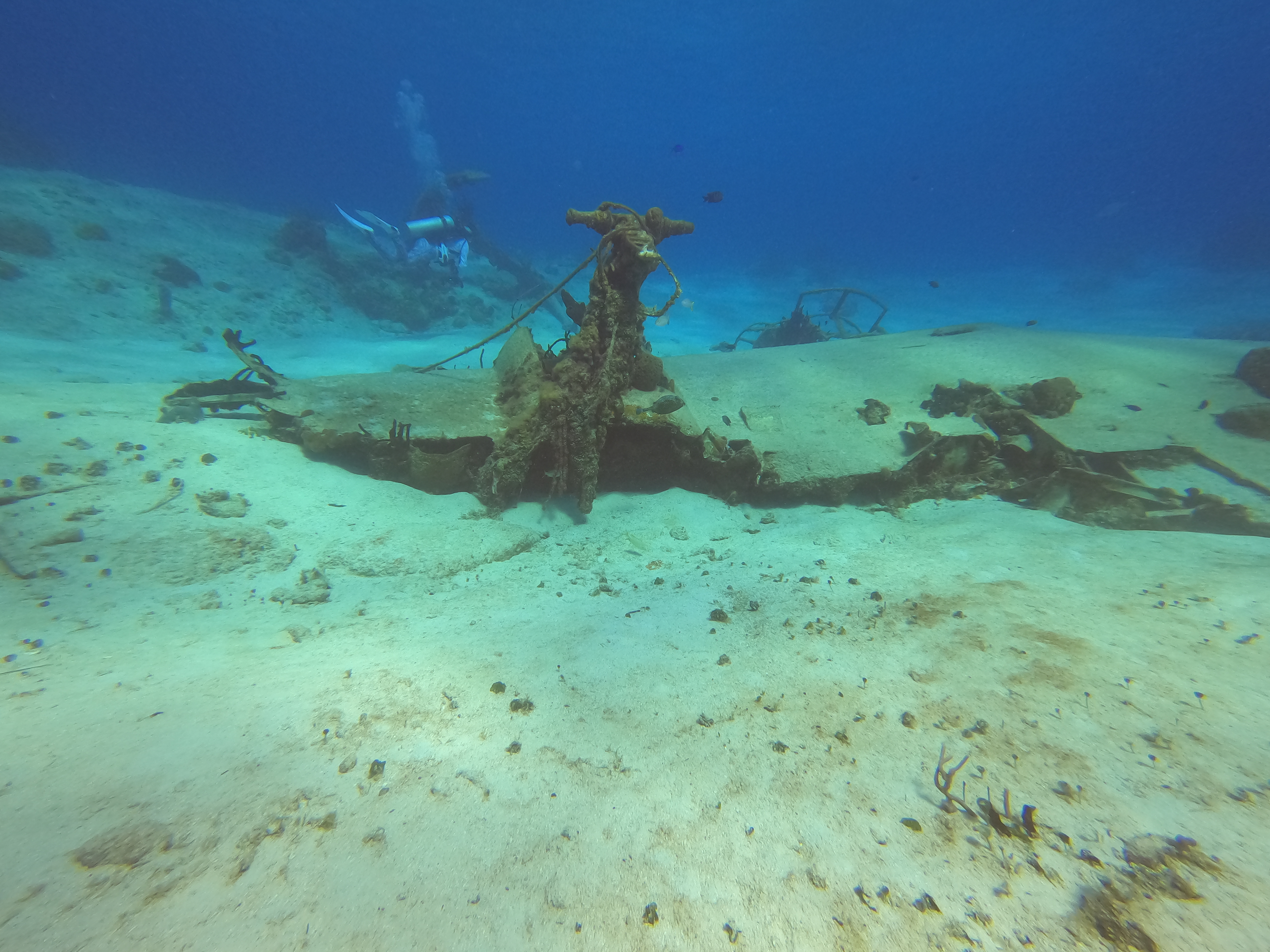 3 - Aircraft on shore dive