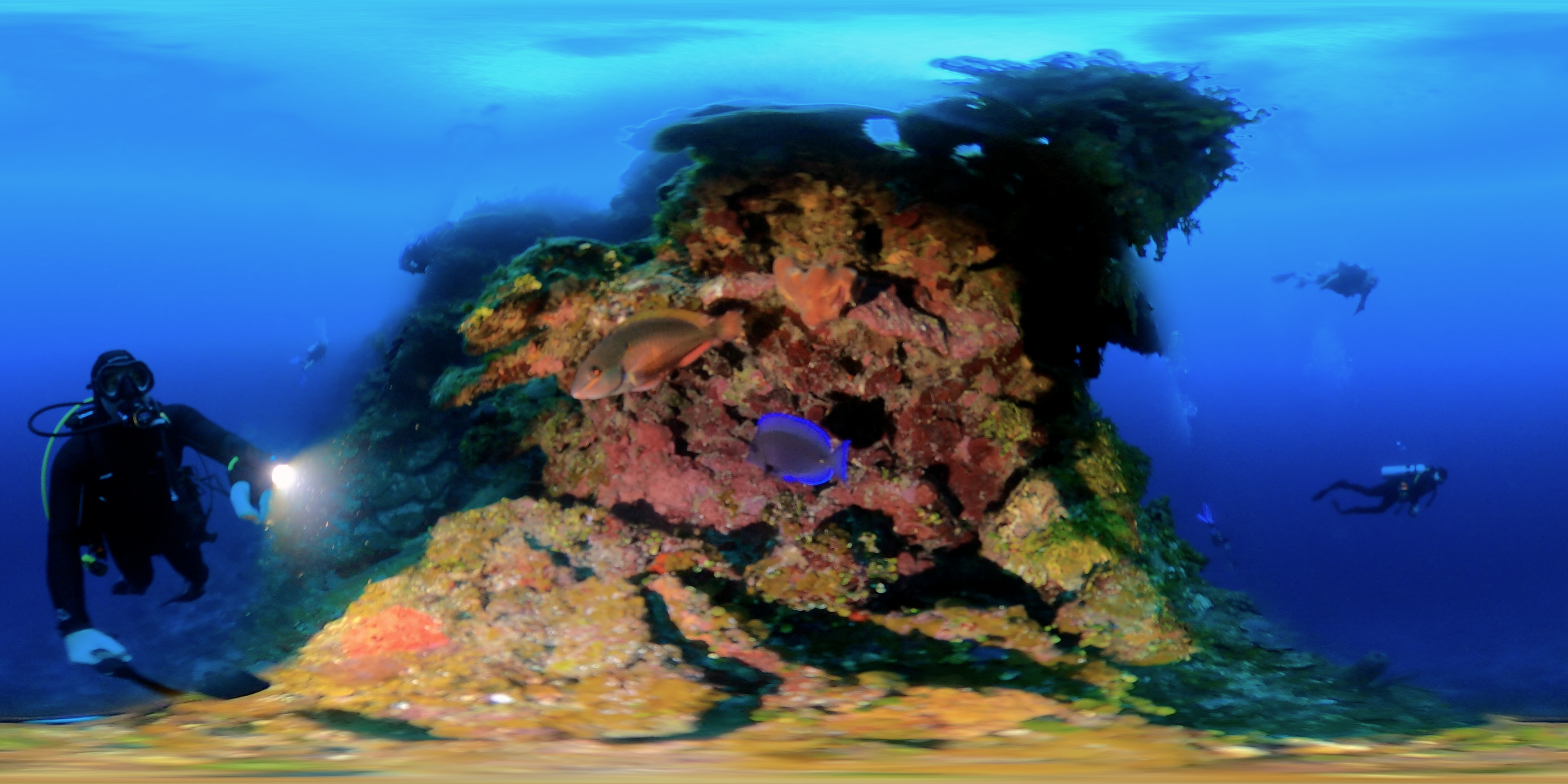 360 Degree Photo