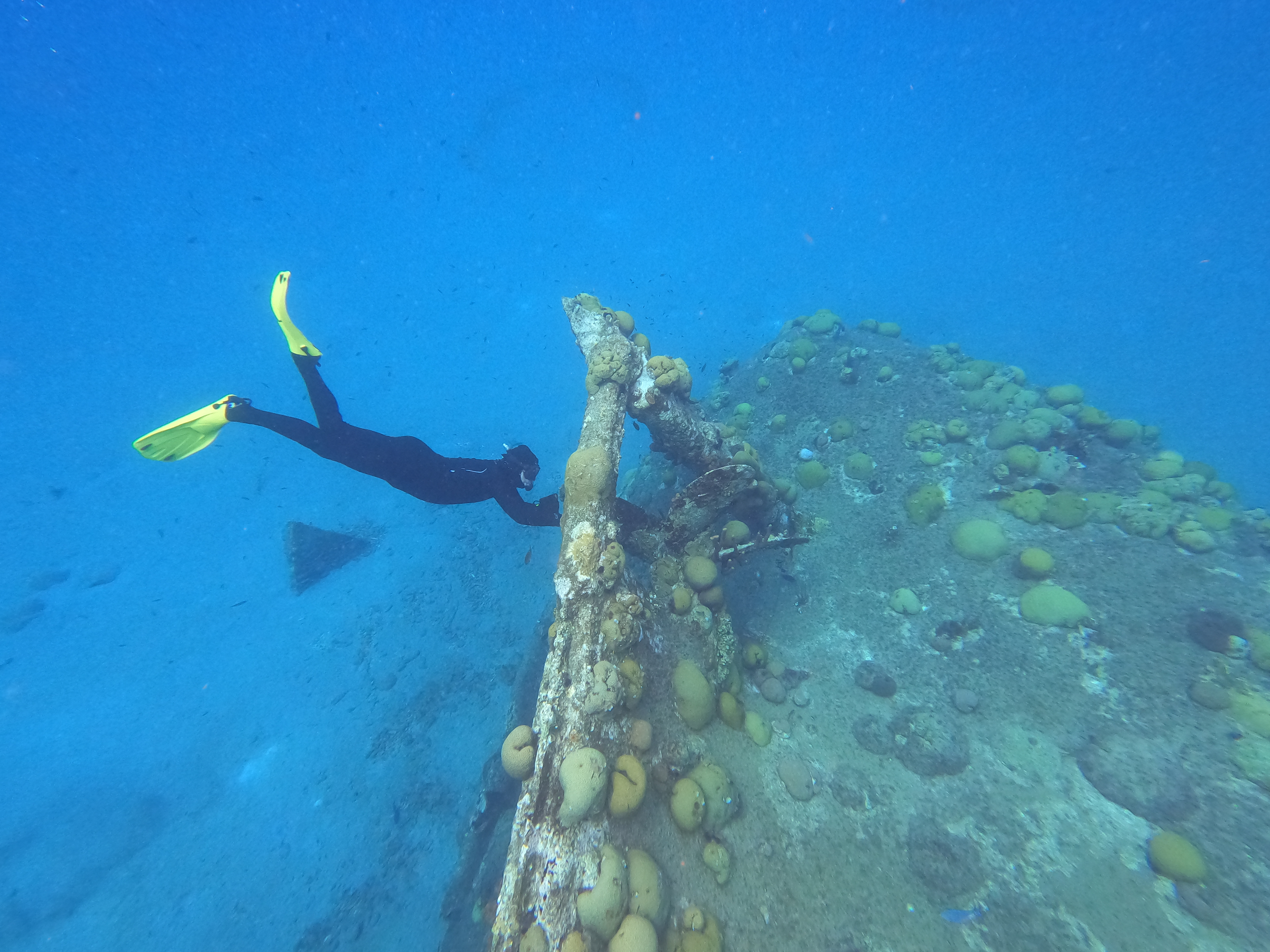 37 - AdamBOM snorkelling on wreck.JPG