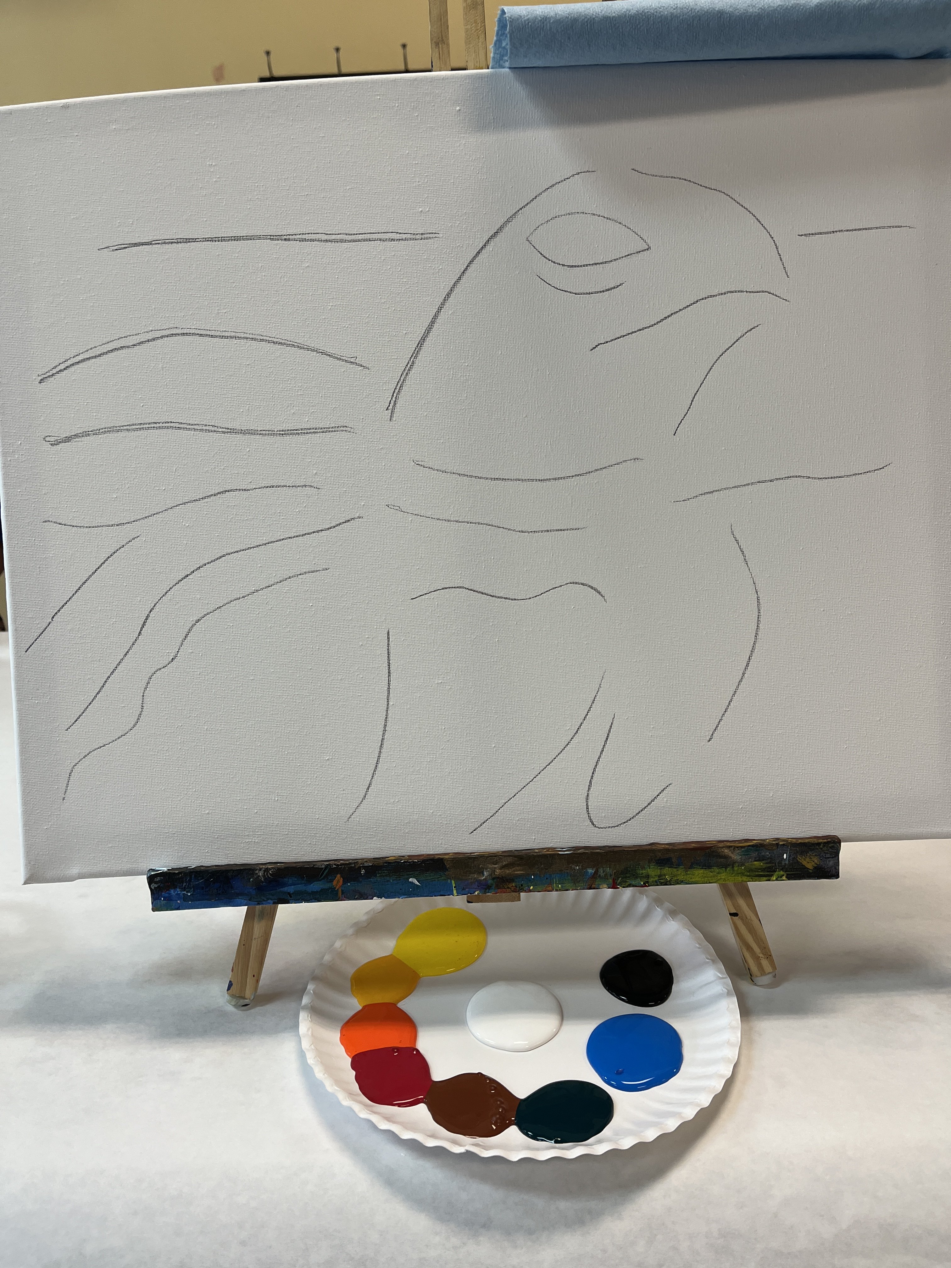 A blank canvas