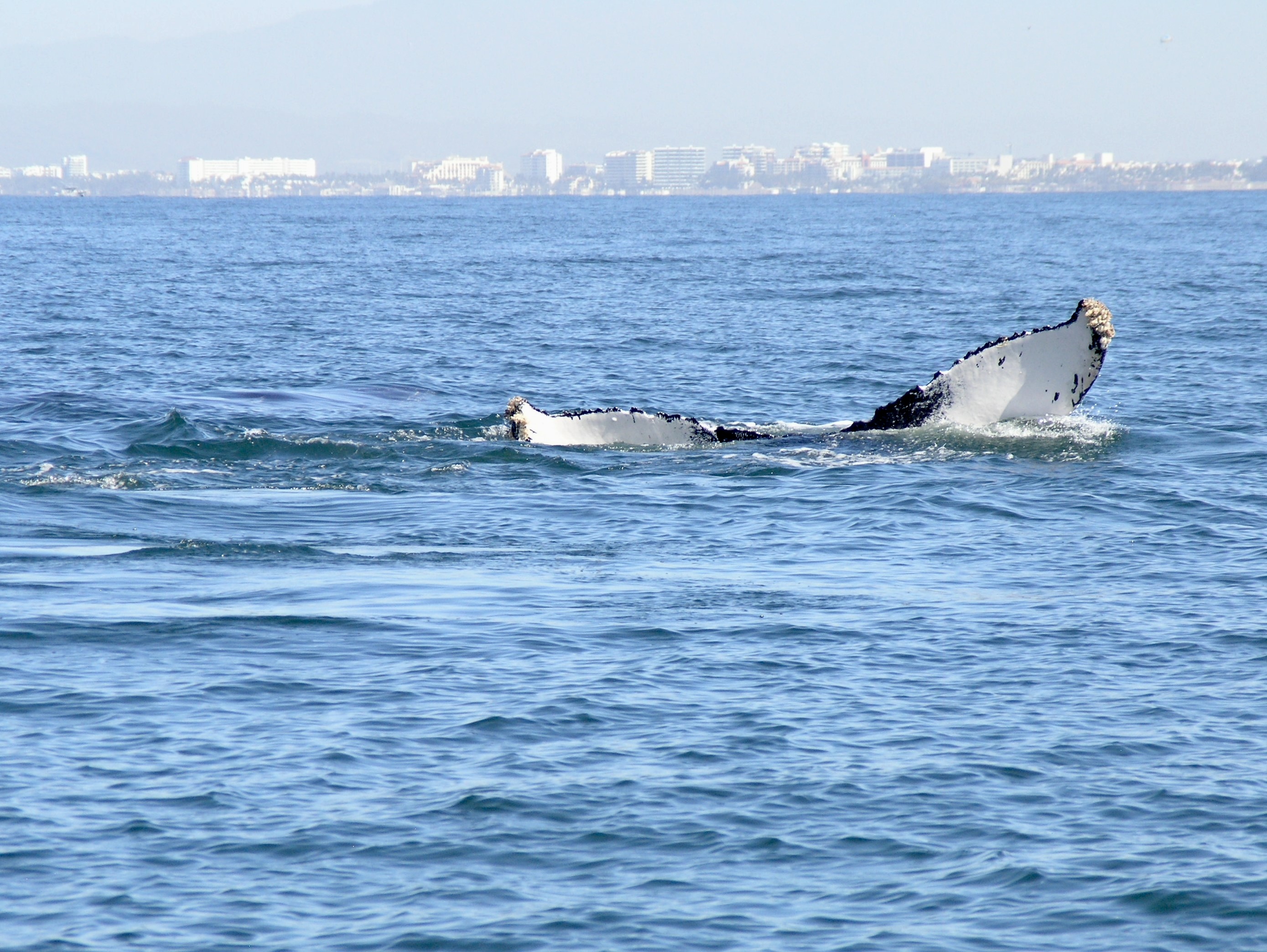 a wave goodbye