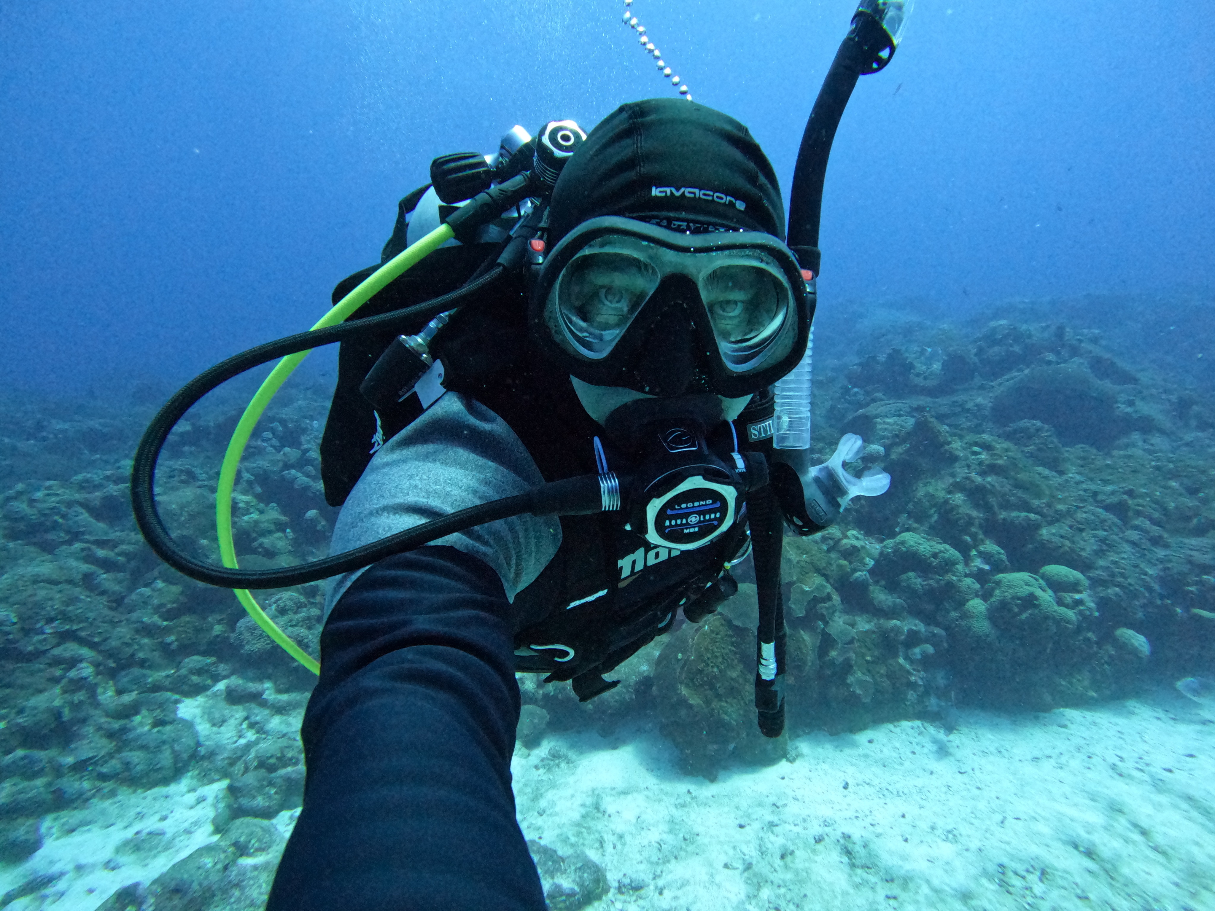 AdamBOM enjoying the coral