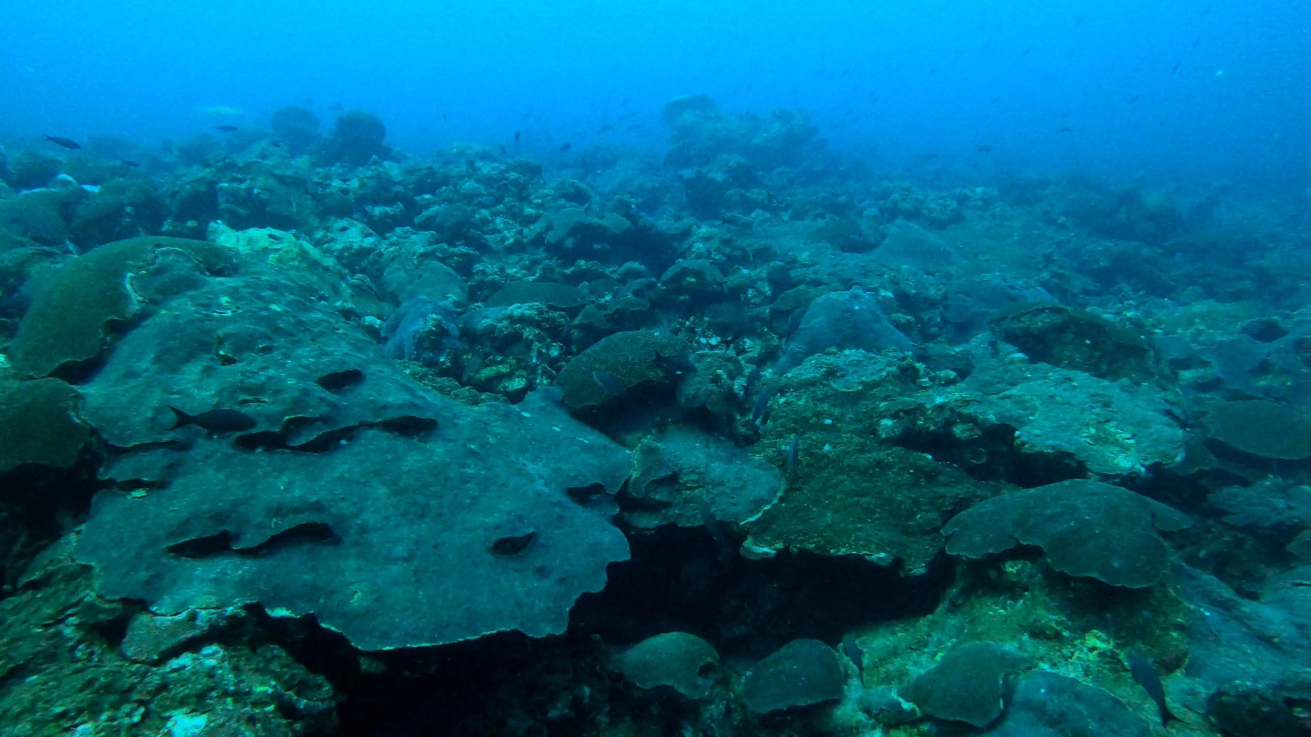 As far as you can see