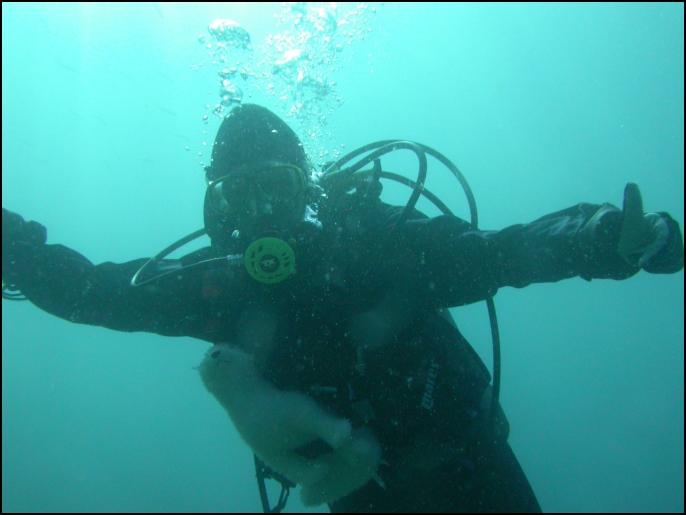 Batfish Gets Wet