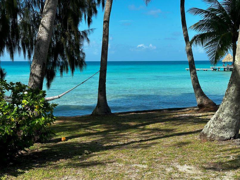 Beach Bungalow #5 - Lagoon View