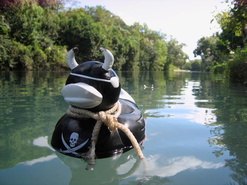 BJMcQ Held Hostage on the Comal River