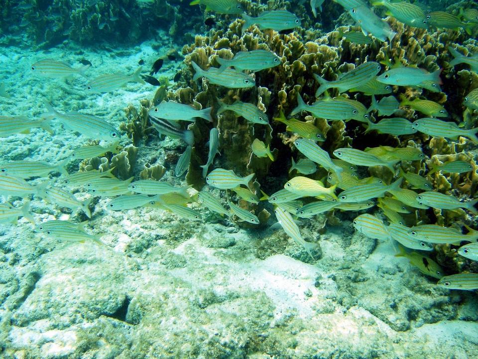 Bonaire 1