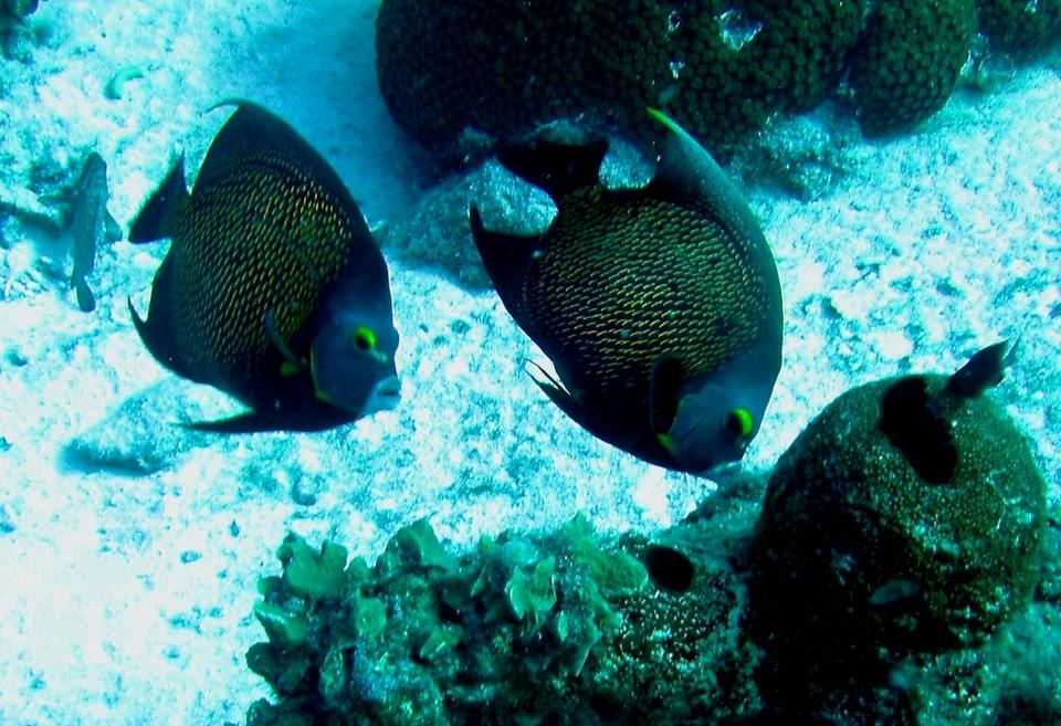 Bonaire 2